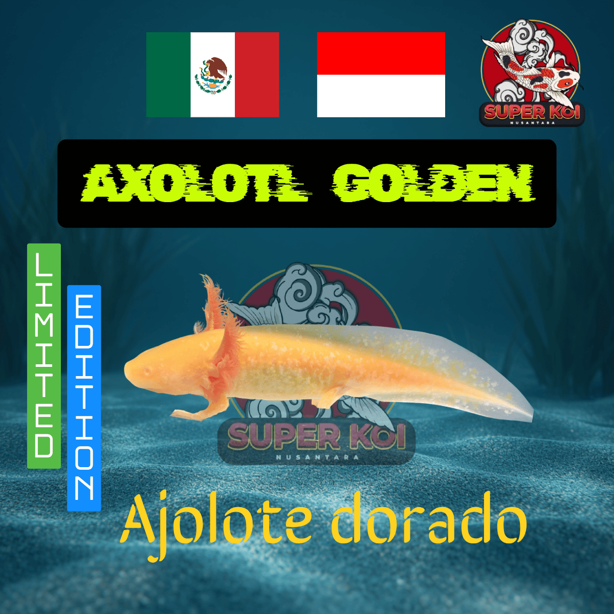 Axolotl Golden